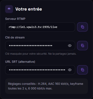 Carte Votre entrée : serveur, clé et URL SRT